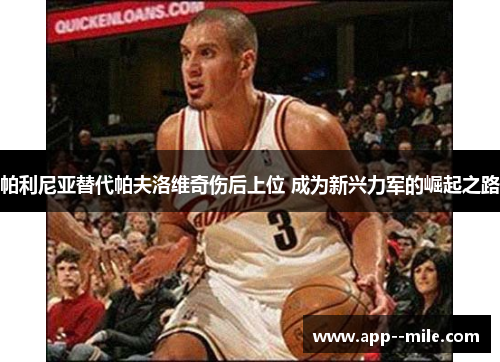 帕利尼亚替代帕夫洛维奇伤后上位 成为新兴力军的崛起之路